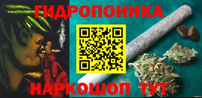 крисы Татарск