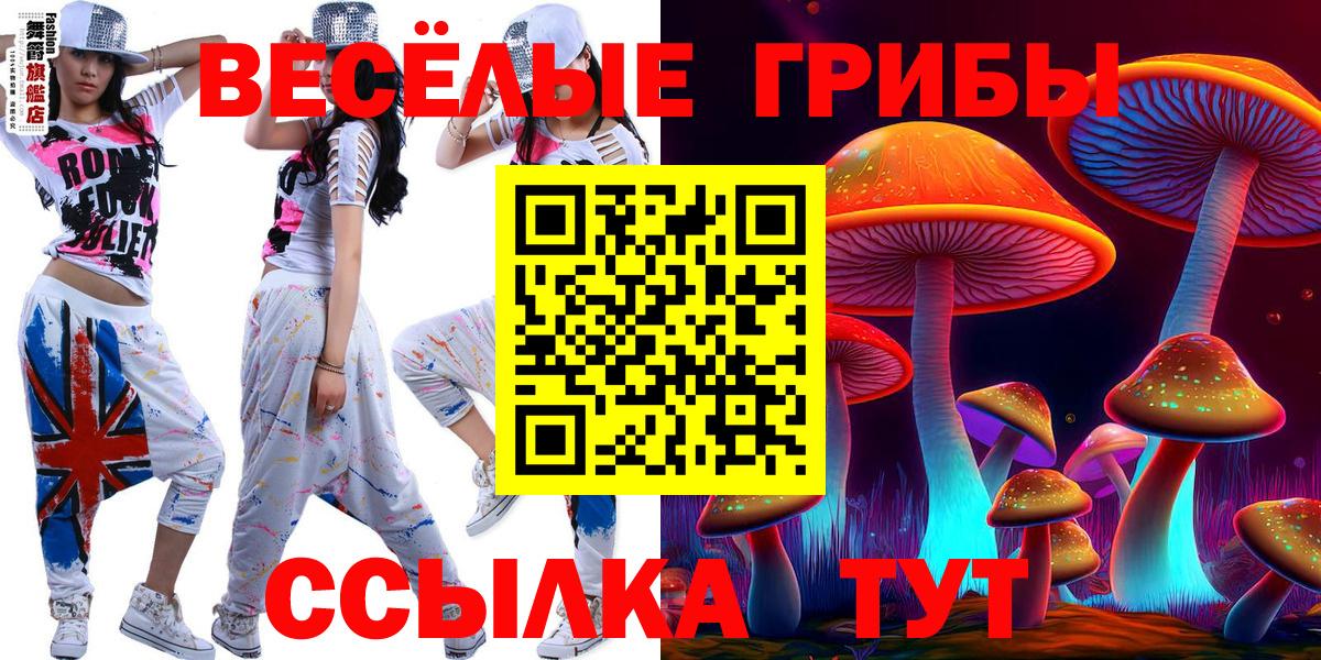 Красноармейск  Псилоцибиновые грибы ЛСД  Вход с VPN 